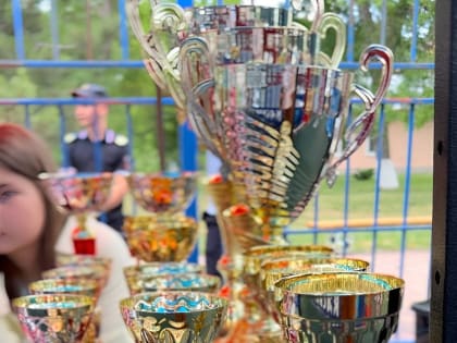 В Новопавловске прошли соревнования по кикбоксингу, посвящённые памяти заслуженного мастера спорта Елены Сабитовой.