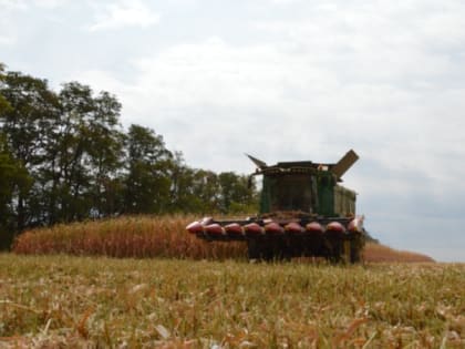 Демонстрационные участки сельхозкультур появятся на Ставрополье
