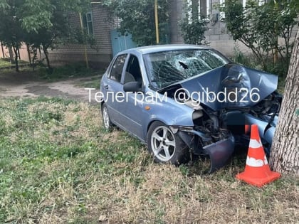 Пьяный водитель устроил ДТП с деревом на Ставрополье