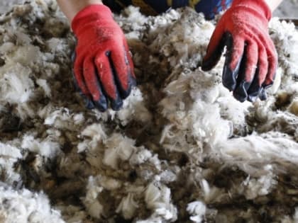 Экспорт подкарантинной продукции из Ставрополья достиг рекорда