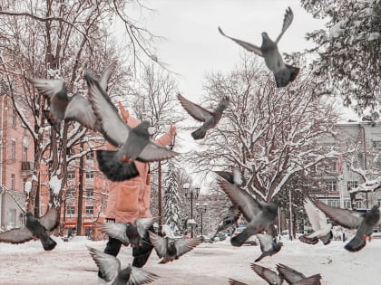 17 машин скорой помощи и 3 передвижных медкомплекса передали в медучреждения Ставрополья