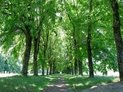 Бабье лето на Ставрополье продлится до начала ноября — Гидрометцентр