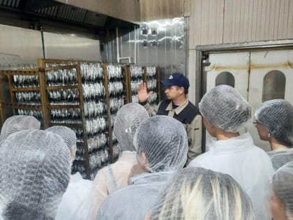 Профтур для студентов Георгиевского колледжа