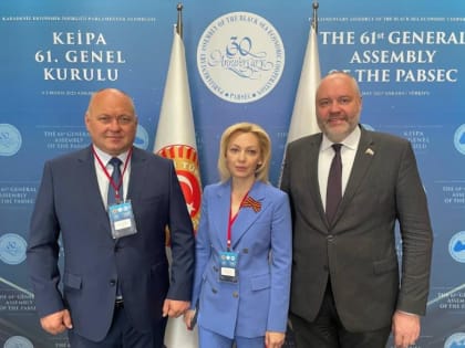 После скандала с участием украинских делегатов в Турции депутату Ставрополья Тимофеевой вручили благодарность