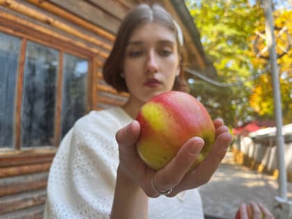 Почти на 100% вырос экспорт яблок на Ставрополье в 2023 году