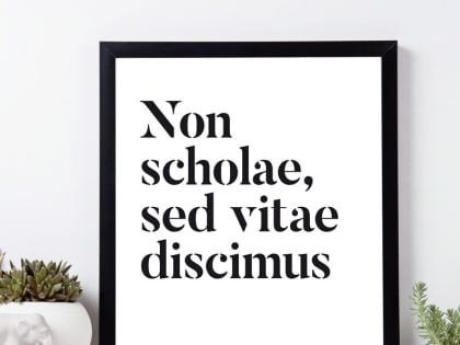 Выставка Non scholae, sed vitae discimus (Не для школы, а для жизни учимся)