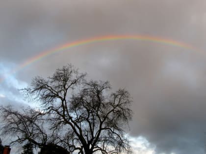 Синоптики обещают дождь в начале недели на Ставрополье