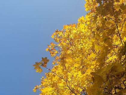 Теплая погода сохранится на Ставрополье в начале следующей недели