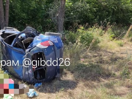 На Ставрополье в ДТП погибли 63-летний водитель и его супруга