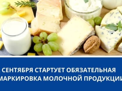 Обязательная маркировка молочной продукции с 1 сентября 2022 года