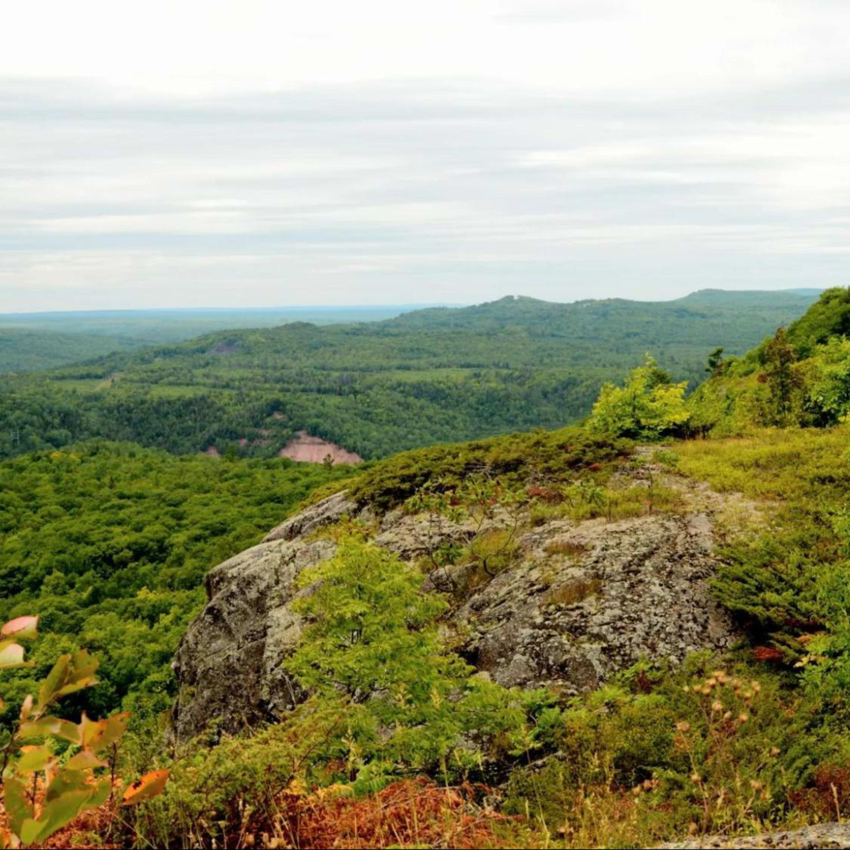 Expansive Michigan landscape with lush green forests and rocky cliffs under a cloudy sky.