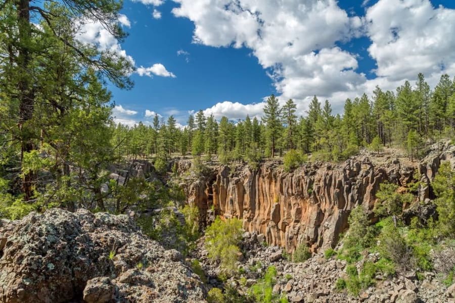 Kaibab National Forest