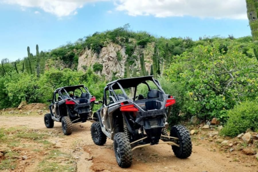 Dirt off-road trail in Baja desert