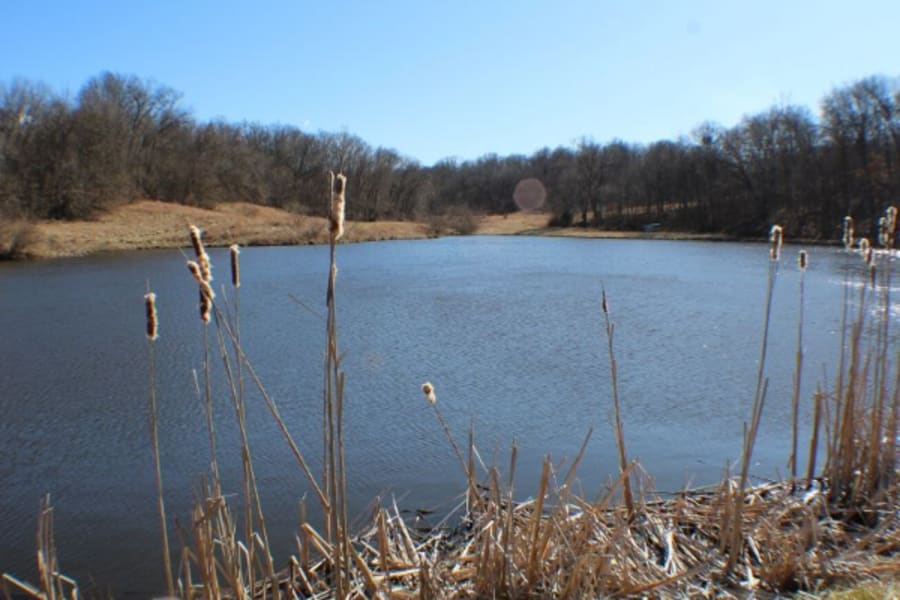 Pond in Illinois