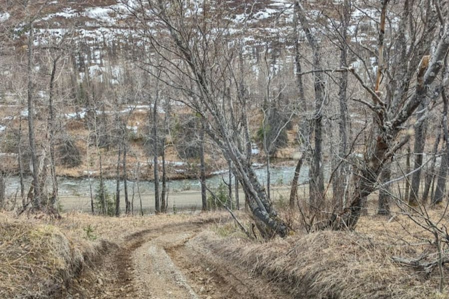 Side by side trail in Alaska