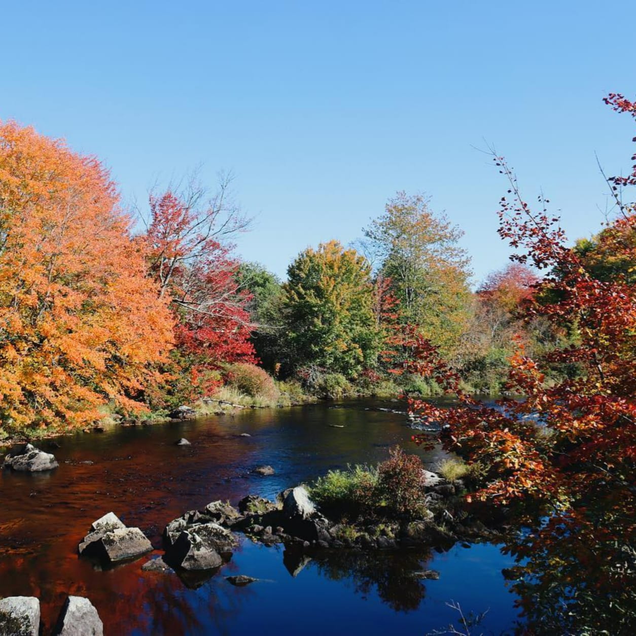 OffRoad Rentals Machias, Maine Polaris Adventures