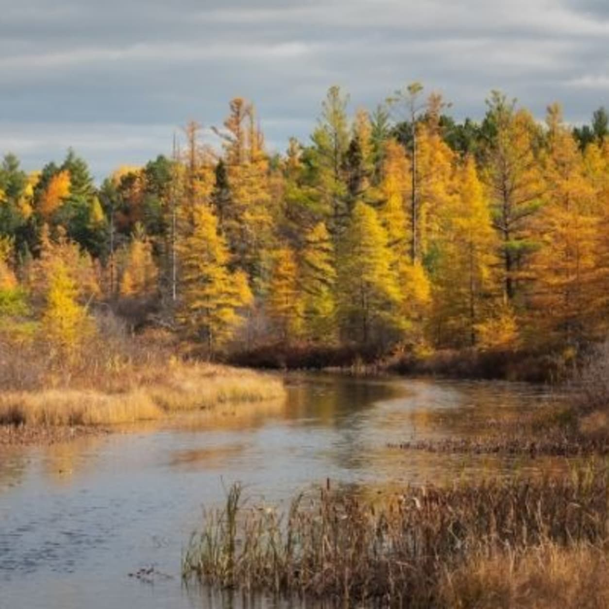 Off Road Rentals Mercer Wisconsin Polaris Adventures
