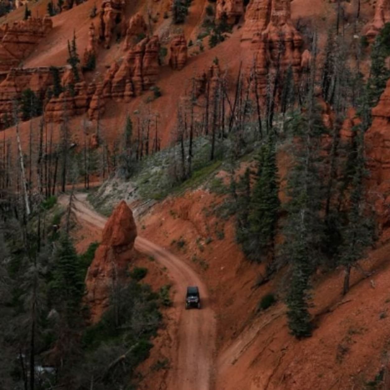 Side by Side Rentals Brian Head Utah Polaris Adventures