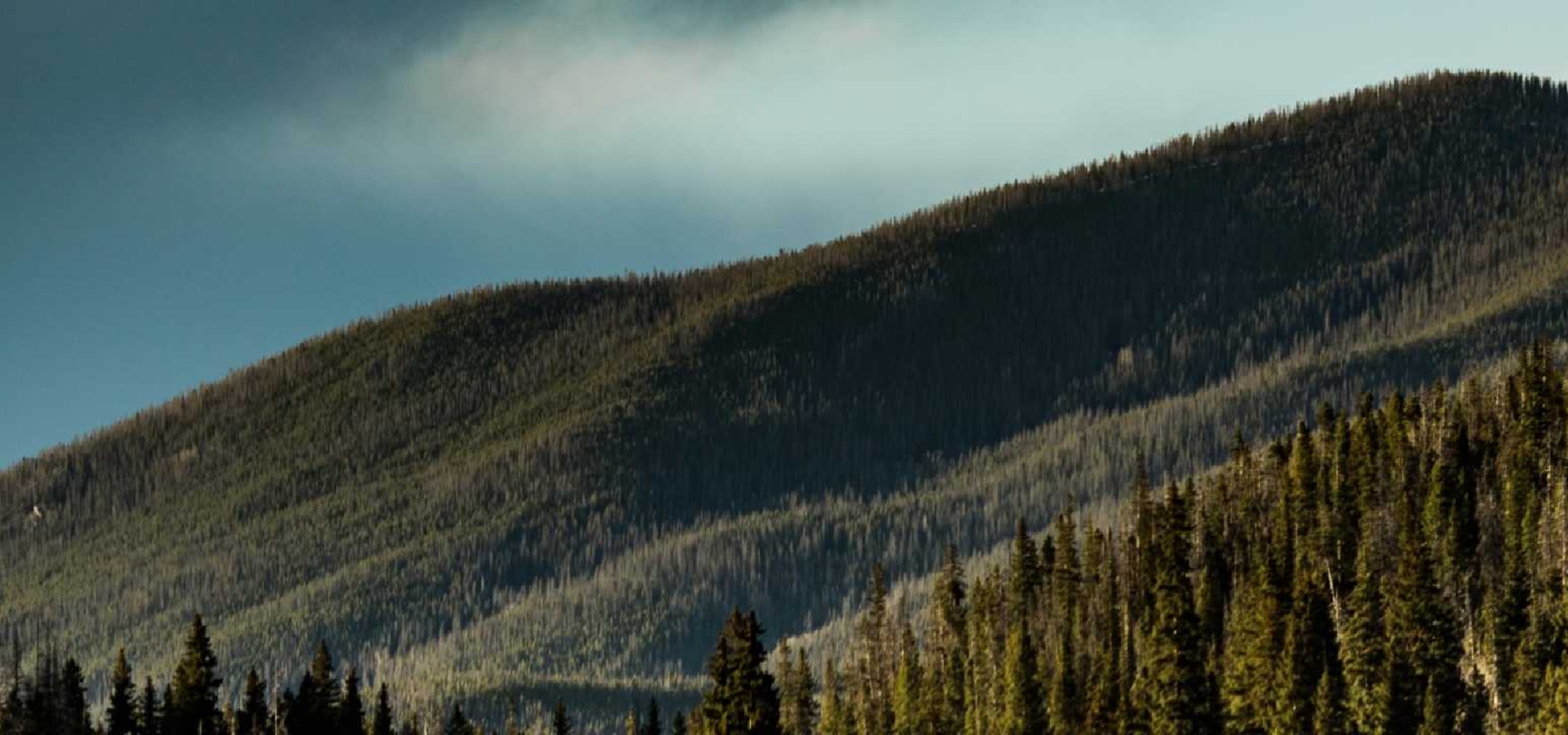 Wyoming hillside