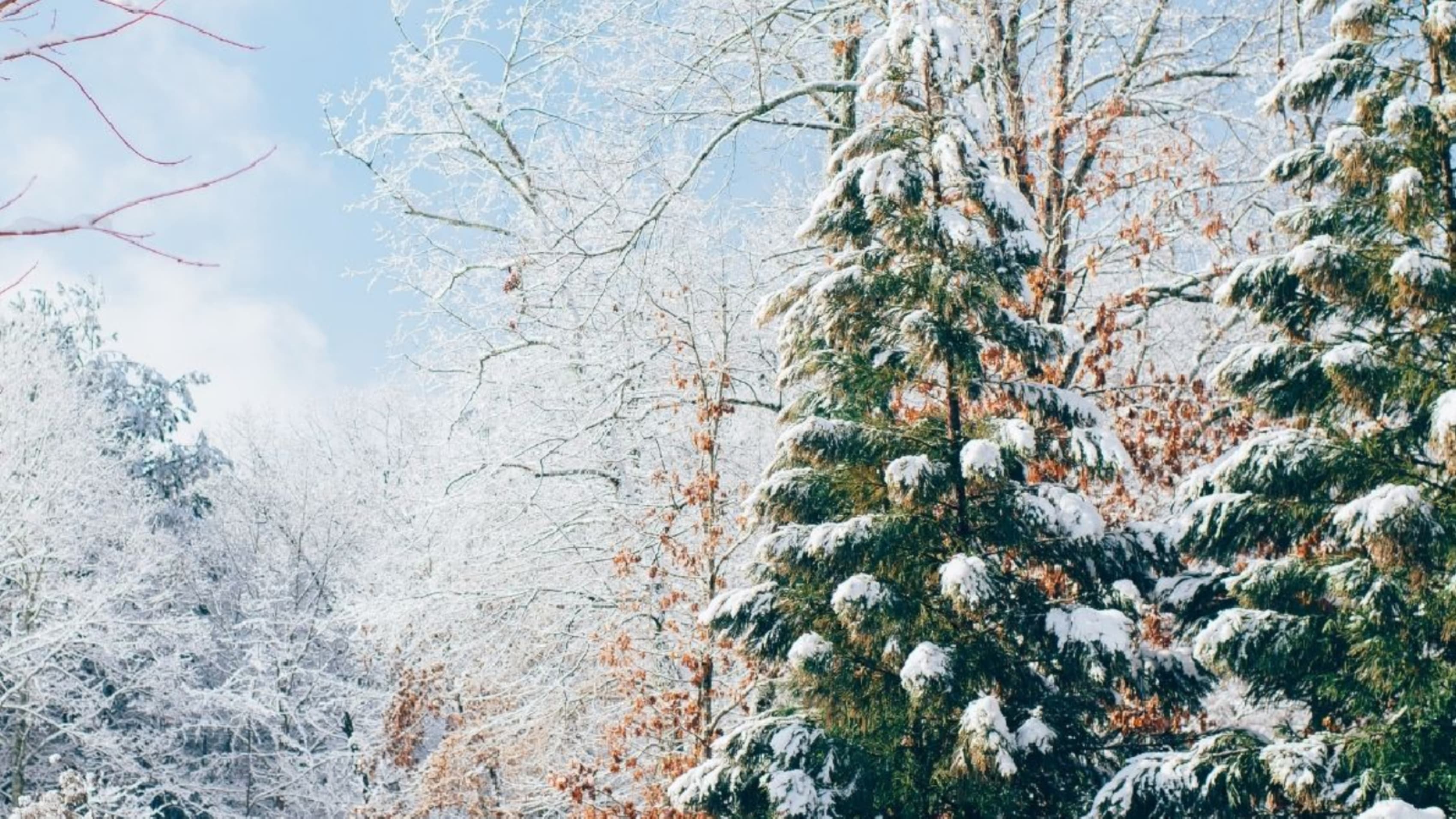 Winter scene near Jackman, Maine