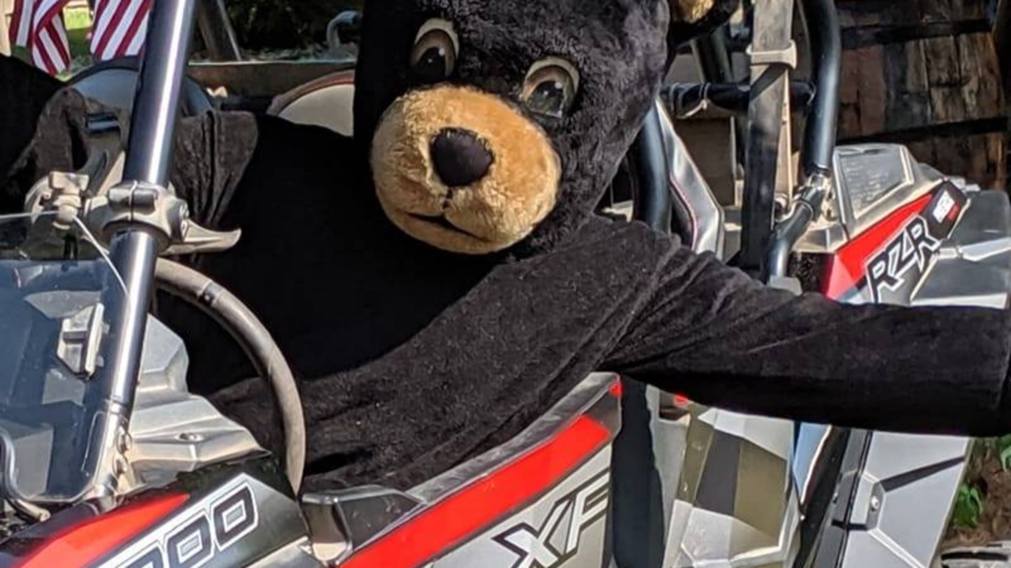 Bear mascot in Polaris RZR at Bear Bogging Adventure Tours