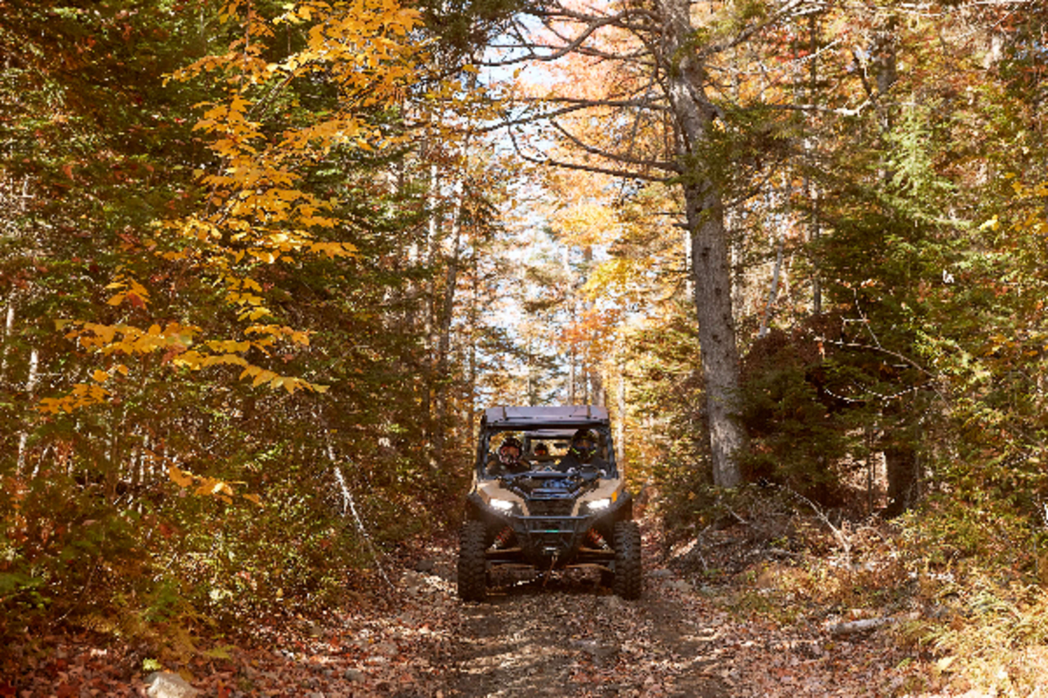 Wooded ATV trail