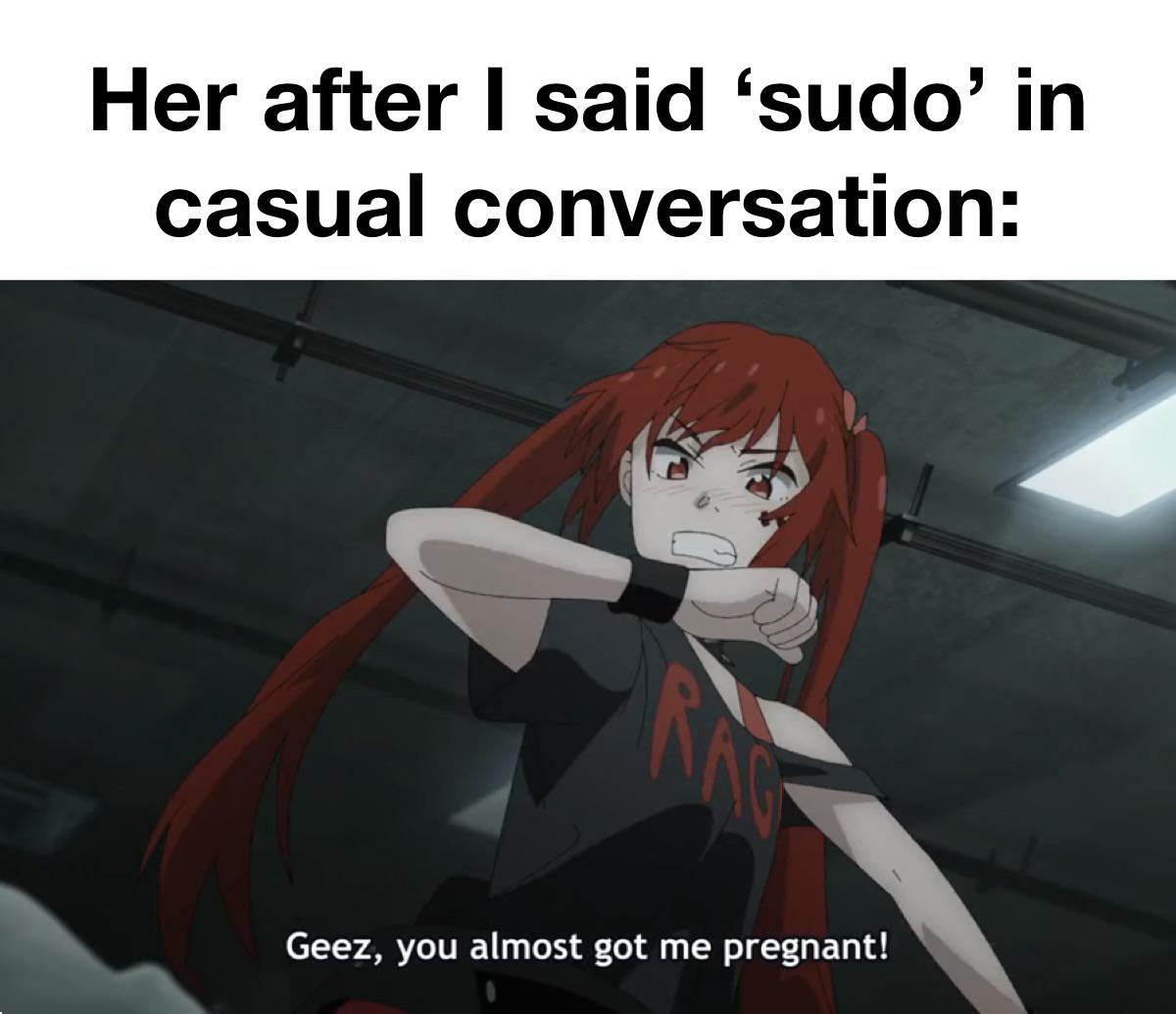Sudo meme ubuntu