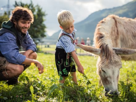 Zomervakantie in de bergen vol vrijheid en actie