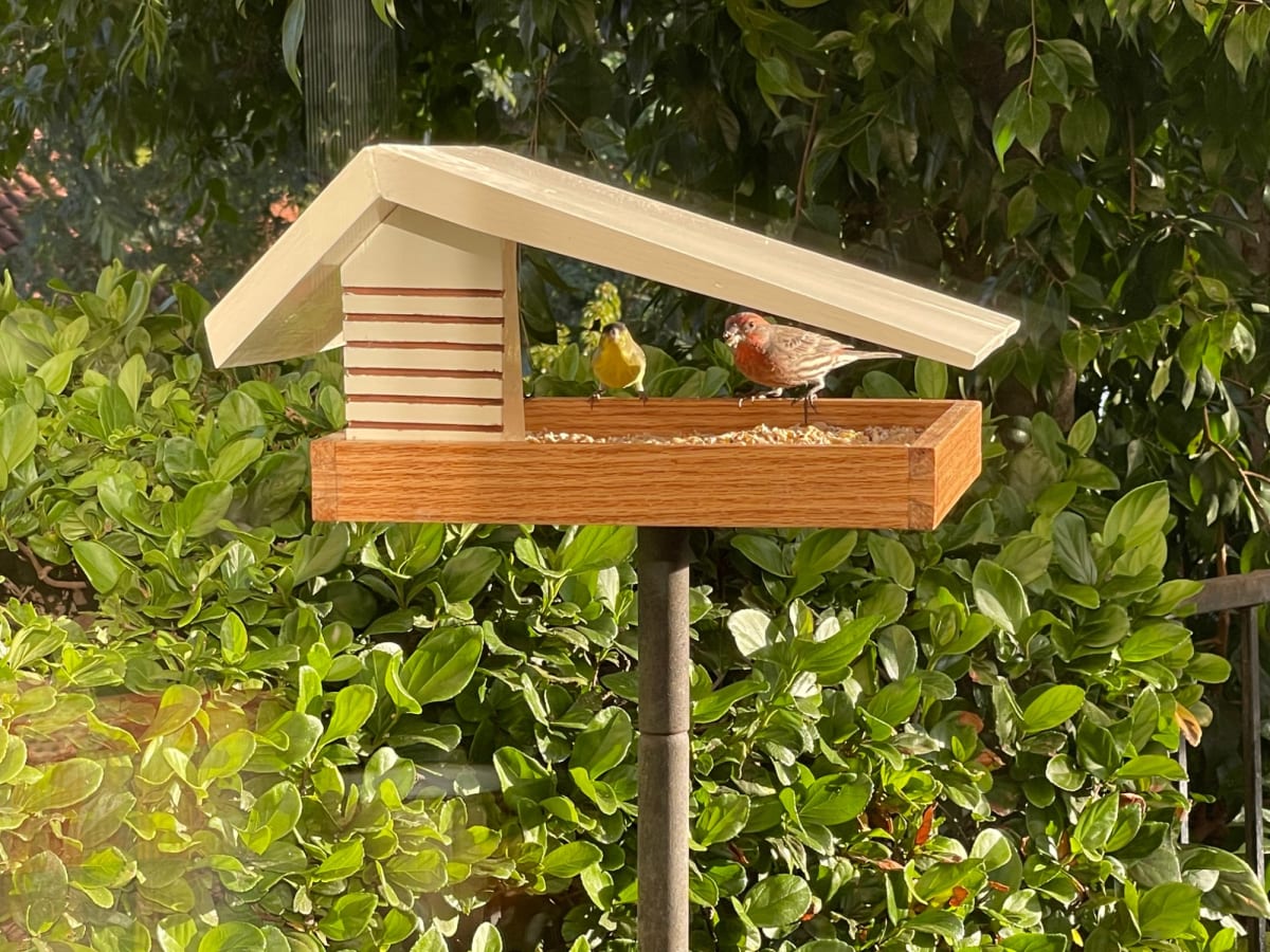 Bird feeder