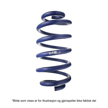 H&R Hevefjær - Bak