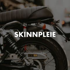 Skinnpleie