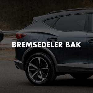 Bremsedeler bak