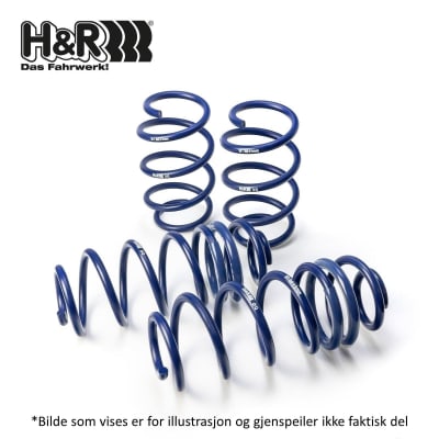 H&R DGL-Stag
