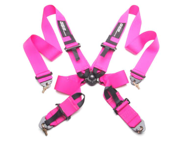 GSP FIA 4 punkt belte<br />med pull tabs