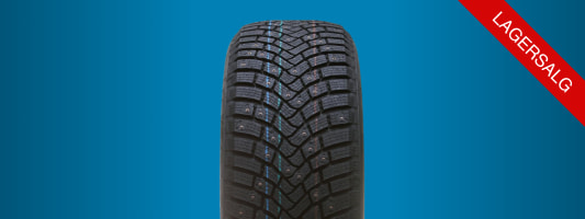 Vinterdekk (piggdekk)