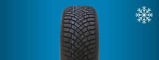 Vinterdekk (piggdekk)