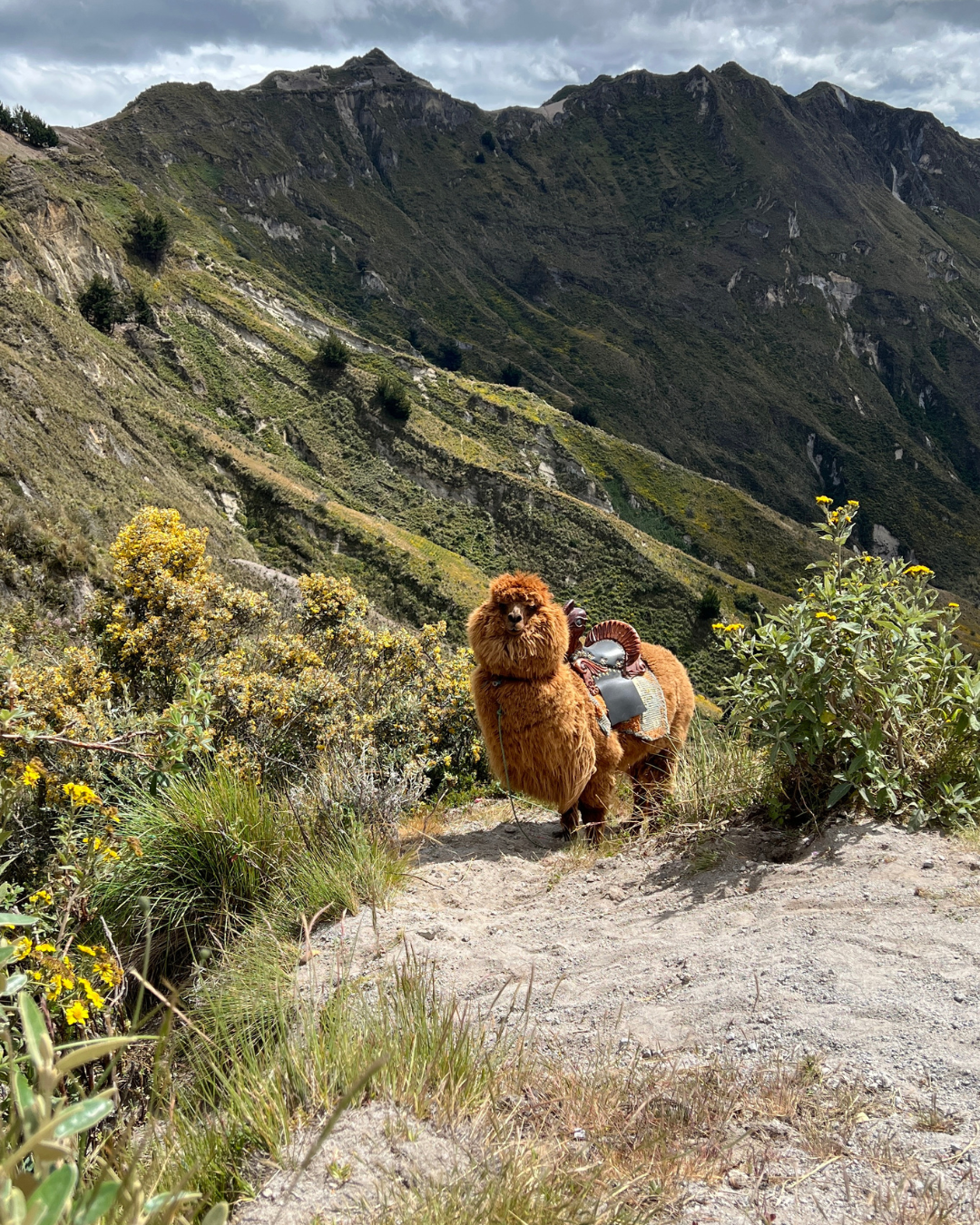 Sacred Andes 4