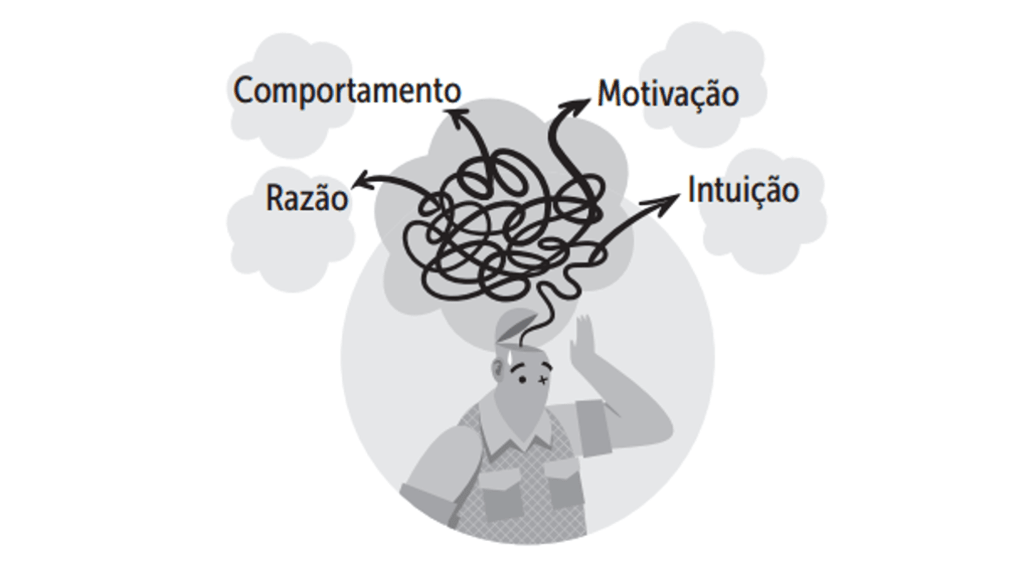 Cérebro Financeiro