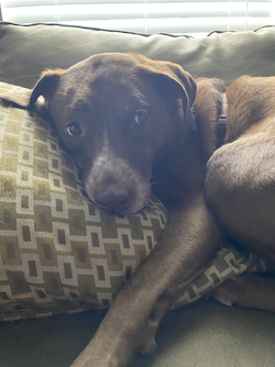 The Day We Almost Didn't Meet Zoe