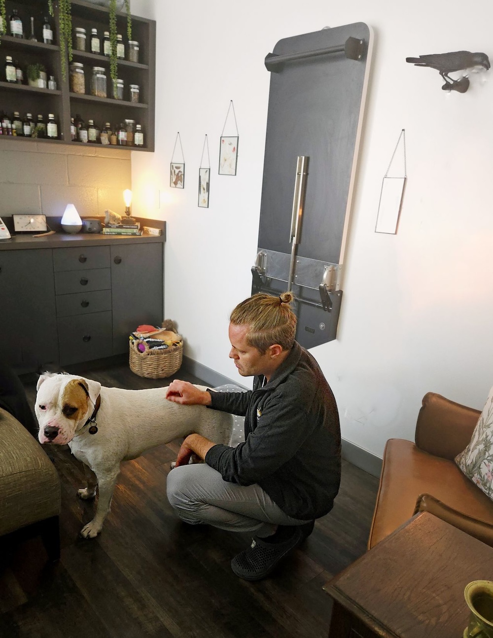 What to Expect at Your First Holistic Vet Visit