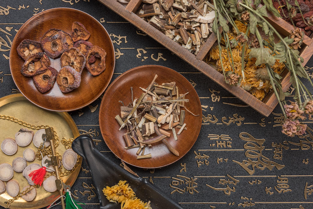 Understanding TCVM: Traditional Chinese Veterinary Medicine Explained
