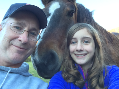 Holistic and Integrative Veterinary Care for Horses: What Every Horse Owner Should Know