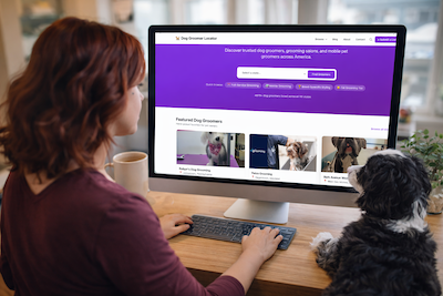 How to Choose a Dog Groomer Near You (And What to Look For)