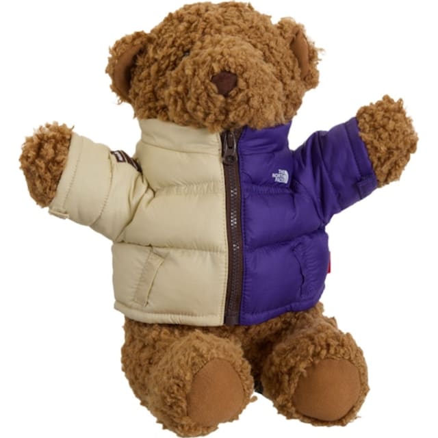 Supreme The North Face Bear Multicolor