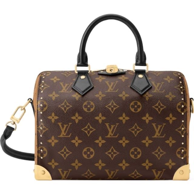 Speedy Trunk 25 Monogram