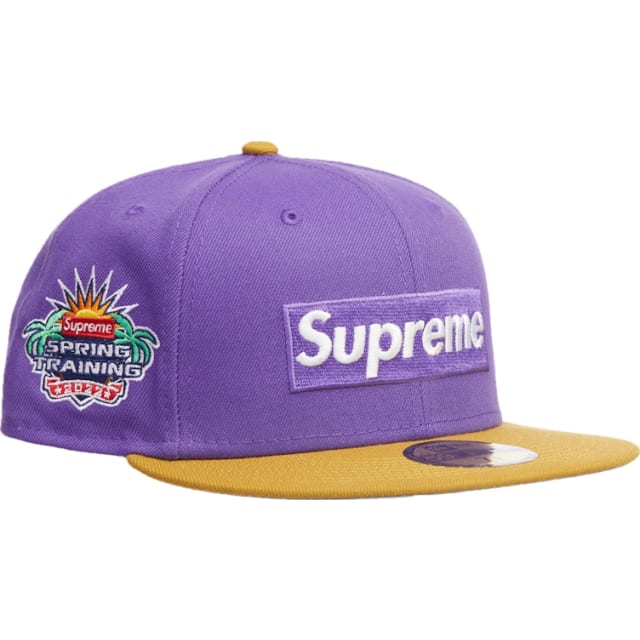 2-Tone Box Logo New Era Purple