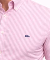 Camisa Oxford rayas rosa y blanca - Imagen 2