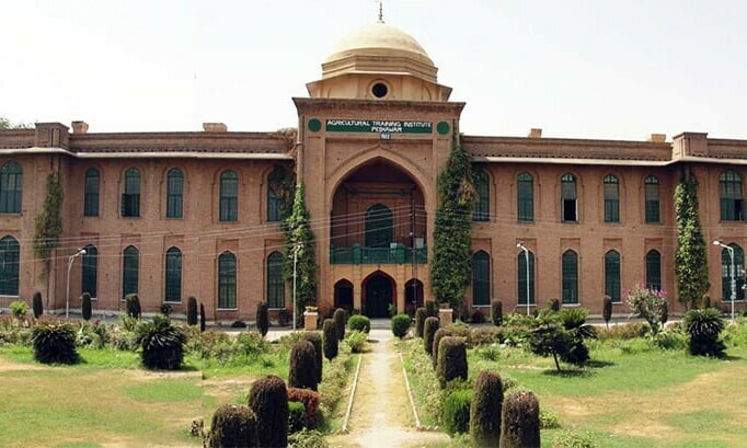 University of Agriculture Peshawar campus building