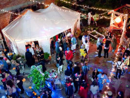 Best Spooky Things to Do This Halloween!
