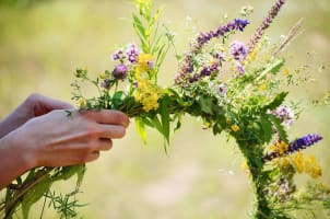 צמחים ועיצוב הבית